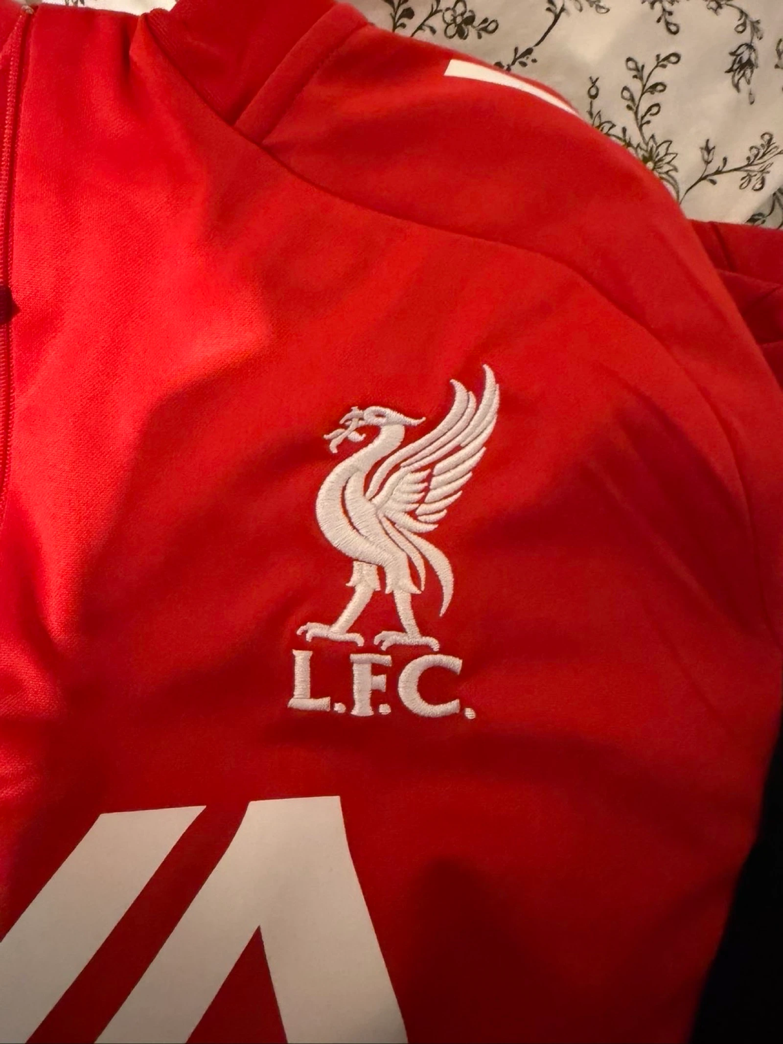 Liverpool ensemble – photo 3